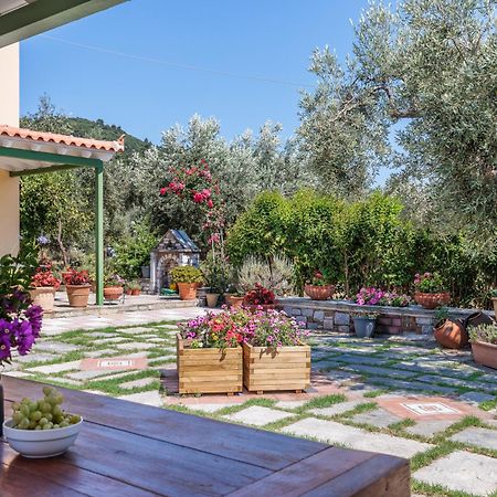 Aretousa Studios & Apartments Skopelos Extérieur photo