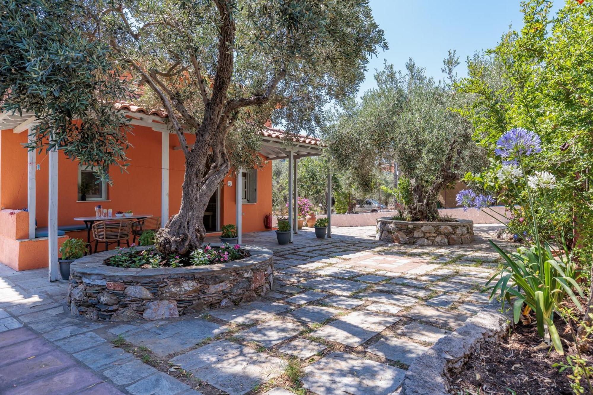 Aretousa Studios & Apartments Skopelos Extérieur photo
