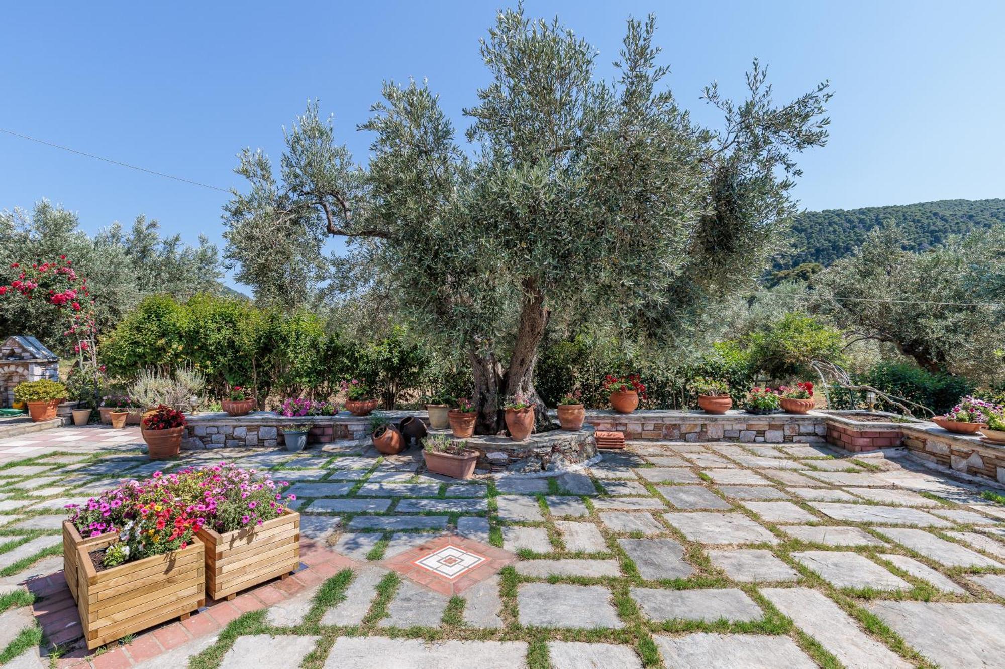 Aretousa Studios & Apartments Skopelos Extérieur photo