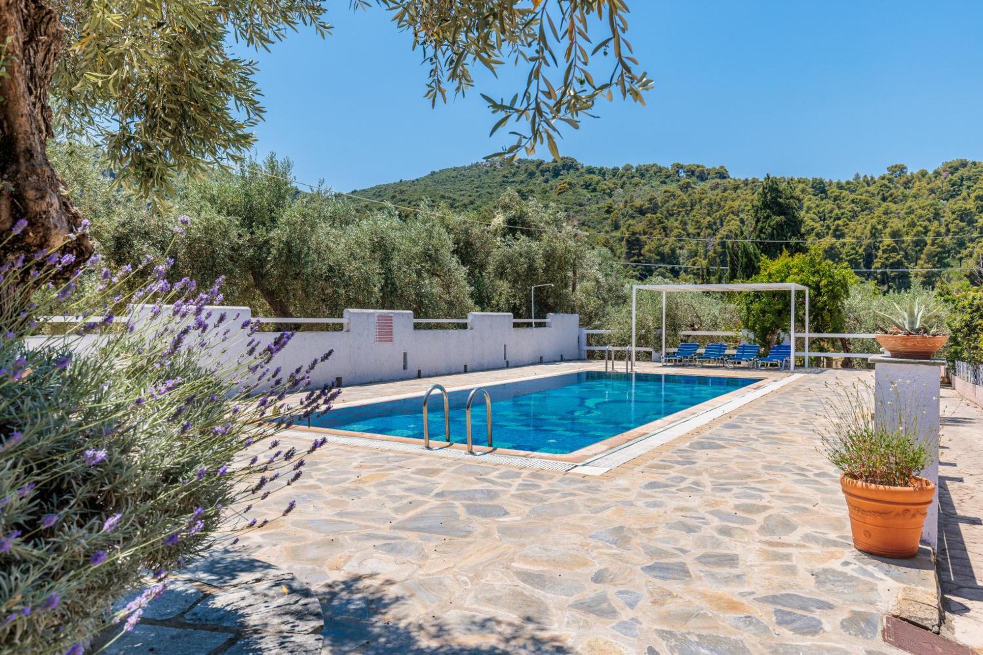 Aretousa Studios & Apartments Skopelos Extérieur photo